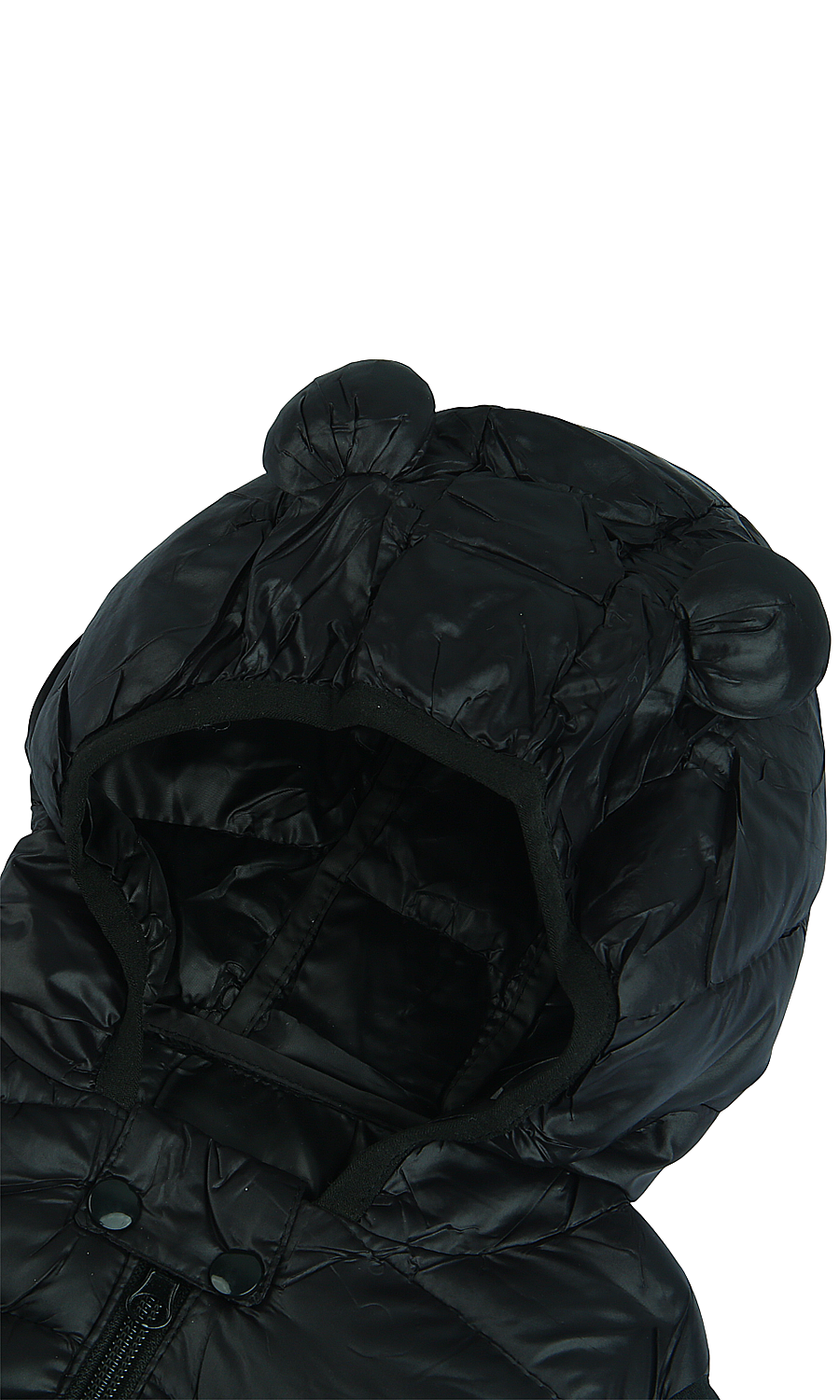 Boys Hooded Jacket - 0301021