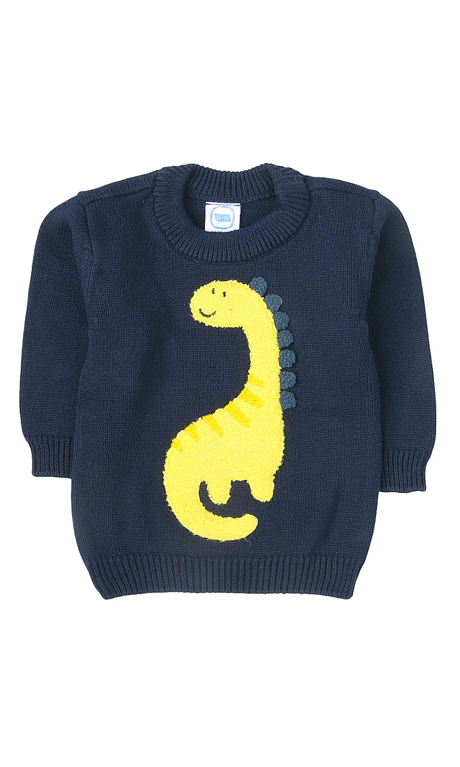 Boys Sweater - 0317816